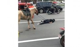 网红骑马爆料视频大全最新,揭秘马背上的精彩瞬间