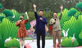 襄阳晚安爆料最新消息视频,最新视频揭秘惊人内幕